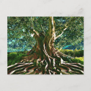 Carte Postale Arbre vert de vie