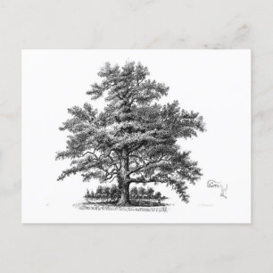Carte Postale Arbre vintage Ephémère Découpage Art