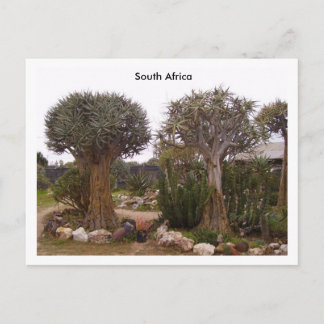 Carte Postale Arbres