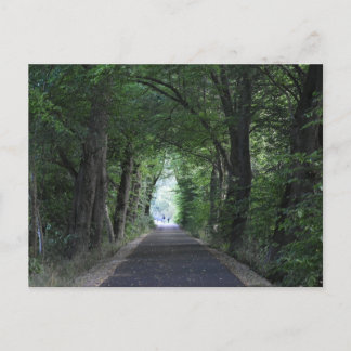 Carte Postale Arbres