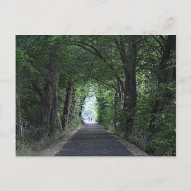 Carte Postale Arbres (Devant)