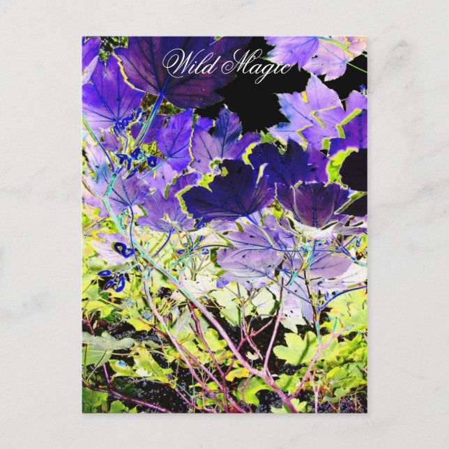 CARTE POSTALE ARBRES (Devant)