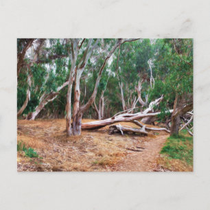 Carte Postale Arbres