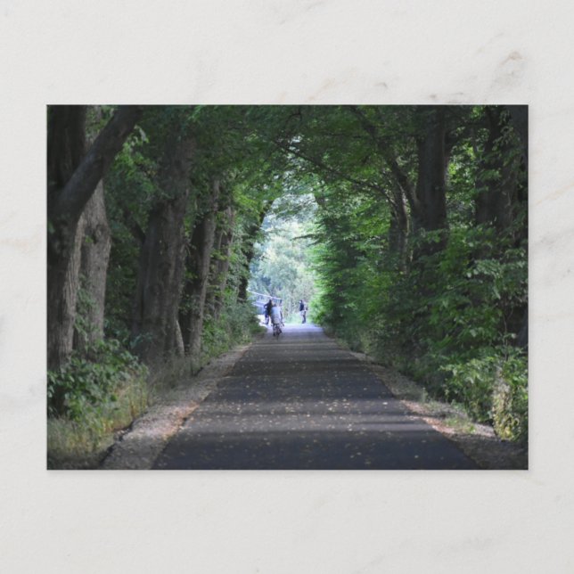 Carte Postale Arbres (Devant)