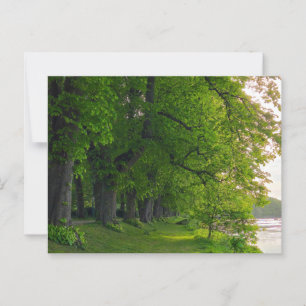 Carte Postale Arbres