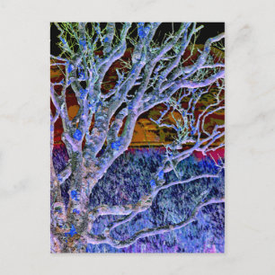CARTE POSTALE ARBRES