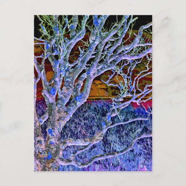 CARTE POSTALE ARBRES (Devant)