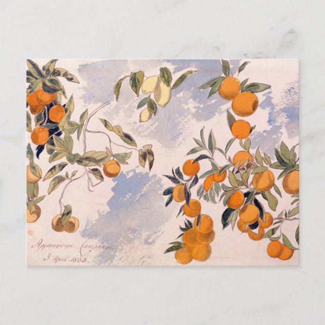 Carte Postale Arbres à fruits - Edward Lear (Devant)