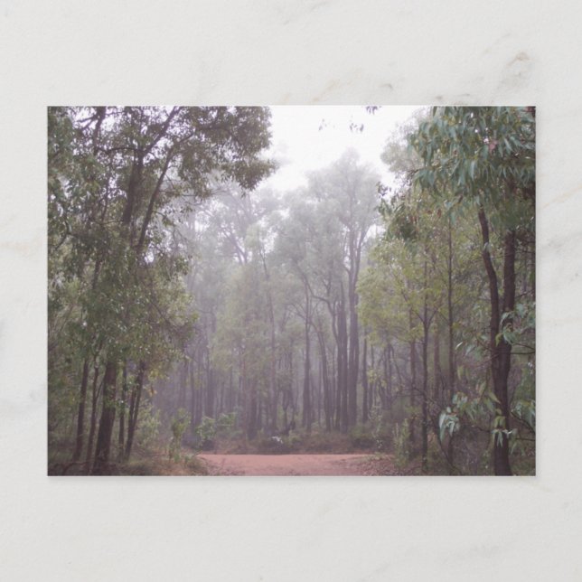 Carte Postale Arbres à gencives (Devant)