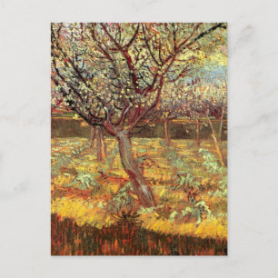 Carte Postale Arbres abricot en fleurs par Vincent van Gogh