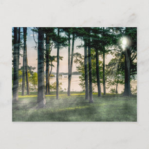 Carte Postale Arbres brumeux à Table Rock