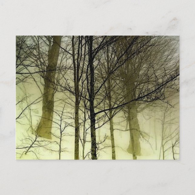 Carte Postale Arbres couverts de neige (Devant)