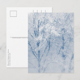 Carte Postale Arbres couverts de neige Photo hiver