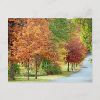 Carte Postale Arbres d'automne