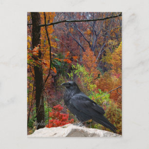 Carte Postale Arbres d'automne avec corbeau saisonnier 
