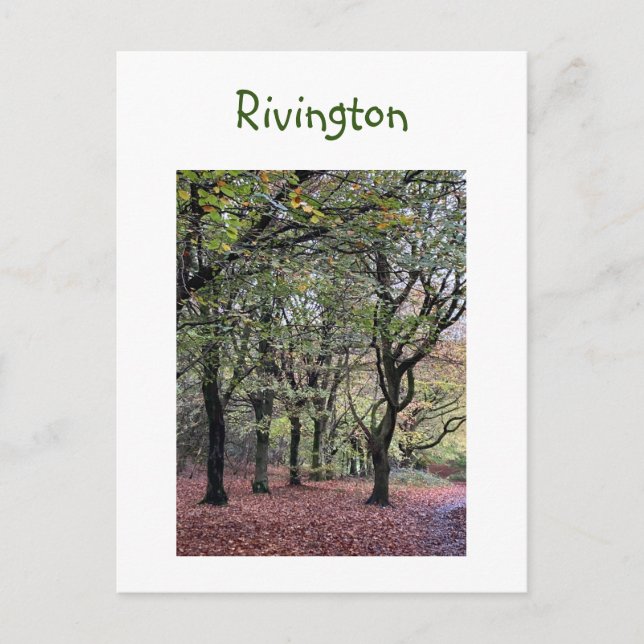 Carte Postale Arbres d'automne Rivington (Devant)