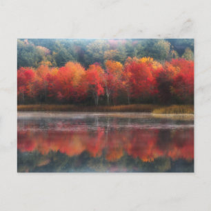 Carte Postale Arbres d'octobre