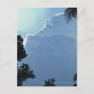 Carte Postale Arbres et nuages