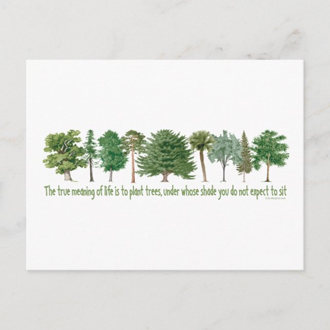 Carte Postale Arbres plantes - Arbre, Gros (Devant)
