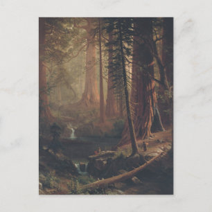 Carte Postale Arbres séquoias géants de Californie