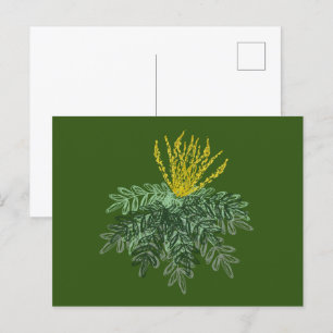 Carte Postale Arbuste botanique de Mahonia Dessiné à la main Ve