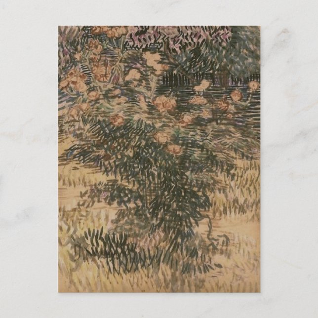 Carte Postale Arbustes à fleurs, Vincent van Gogh (Devant)