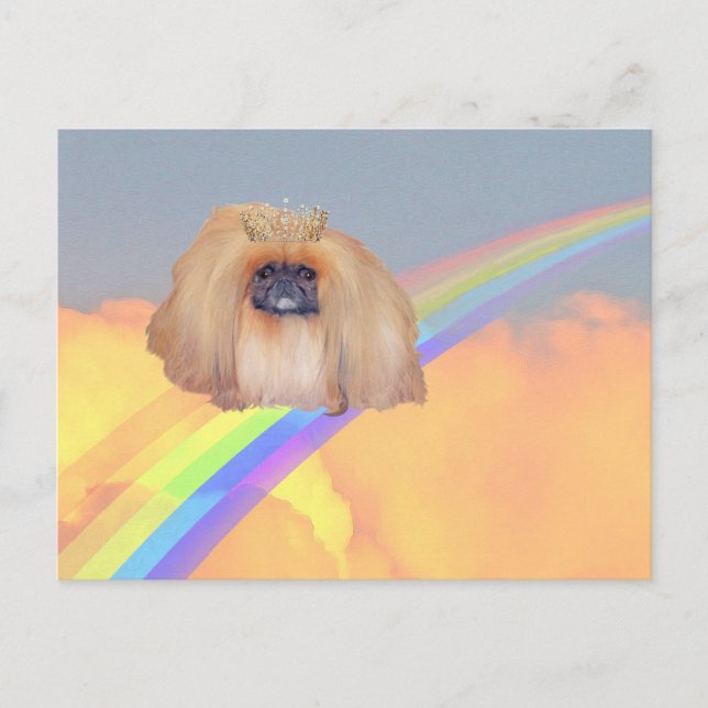 Carte Postale Arc en ciel de Pekingese (Devant)
