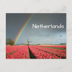 Carte postale arc-en-ciel, tulipes et moulin à ven