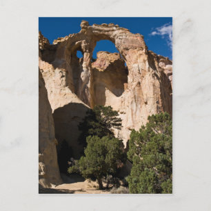 Carte Postale Arc Grosvenor