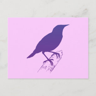 Carte Postale Arche de prairie violette