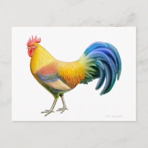 Carte postale Ardenner Rooster