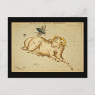 Carte postale Aries
