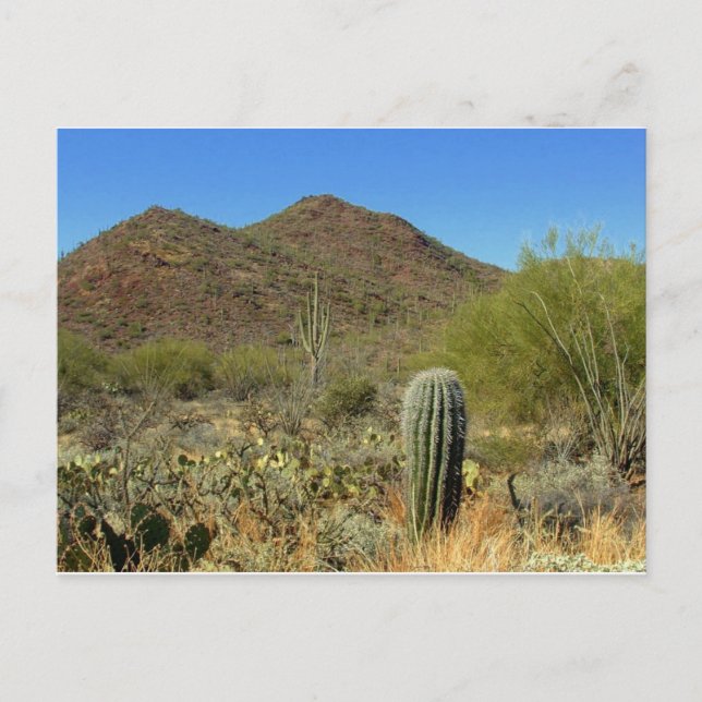 Carte postale Arizona (Devant)