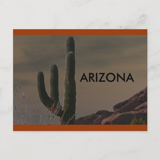 CARTE POSTALE ARIZONA (Devant)