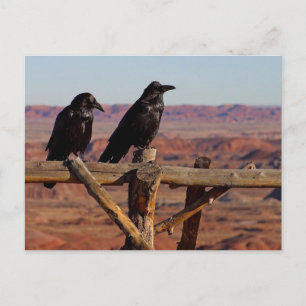 Carte Postale Arizona