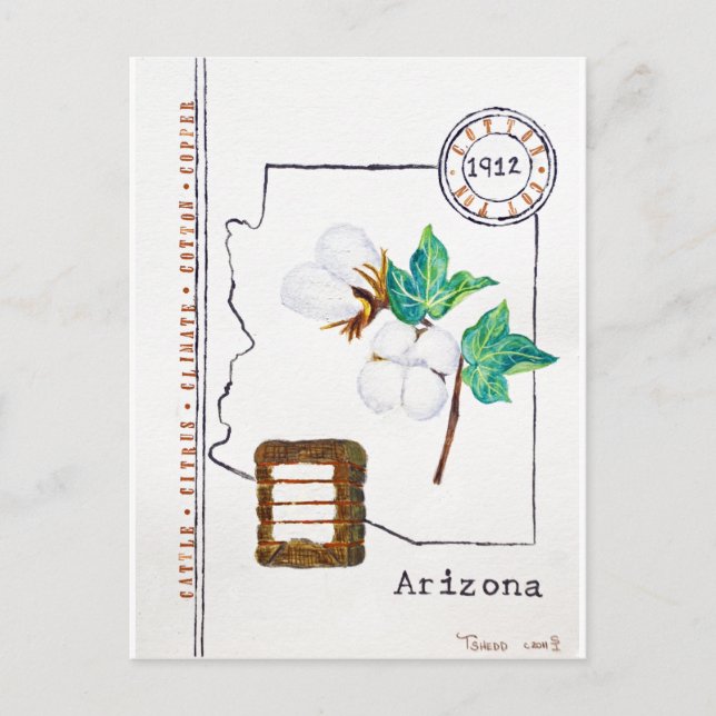 Carte Postale Arizona Cotton (Devant)