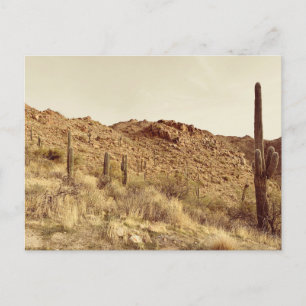 Carte postale Arizona Desert
