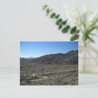 Carte Postale Arizona Désert