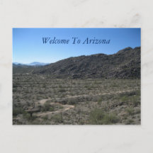 Arizona Desert Beauty