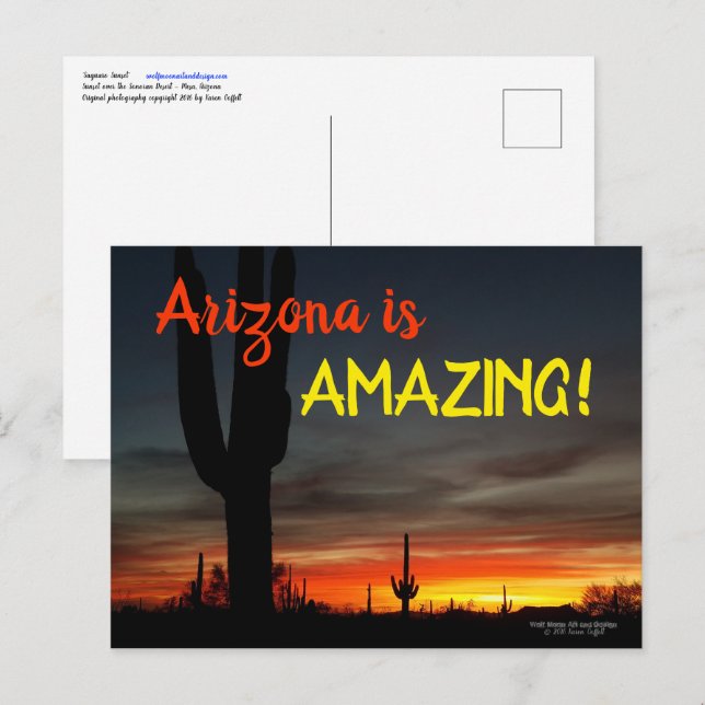 Carte Postale "Arizona is Amazing !" Cactus Sunset Sonoran (Devant / Derrière)
