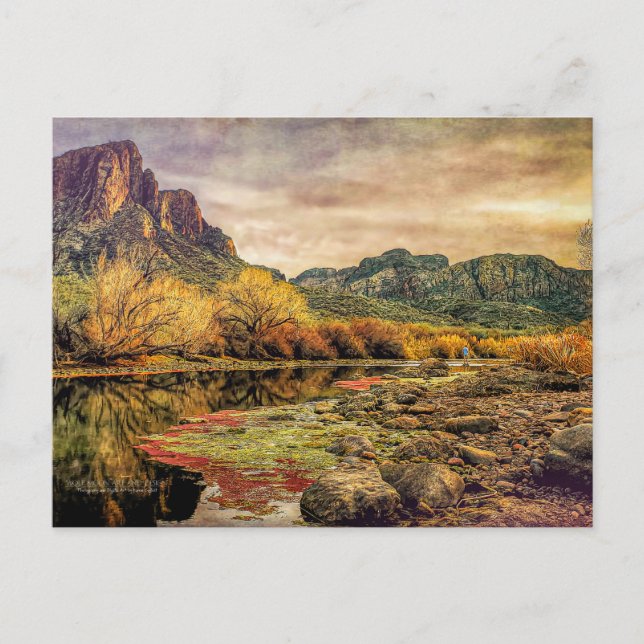 Carte Postale Arizona River Sonoran Desert Mountains Art numériq (Devant)