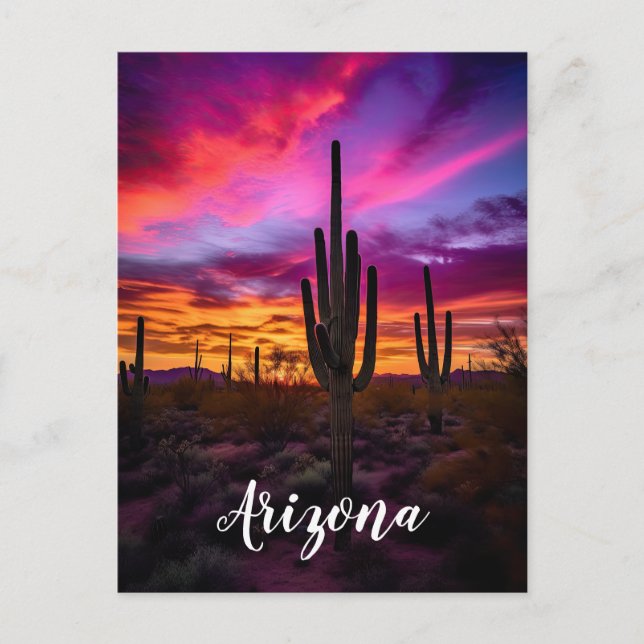 Carte Postale Arizona Saguaro Cactus Sud-Ouest Désert Sunset (Devant)