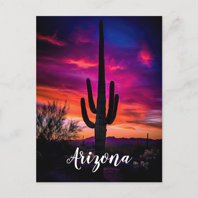 Carte Postale Arizona Saguaro Cactus Sud-Ouest Désert Sunset (Devant)