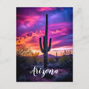 Carte Postale Arizona Saguaro Cactus Sud-Ouest Désert Sunset