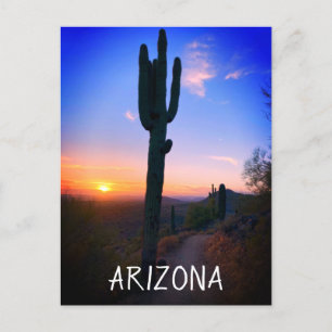 Carte Postale Arizona Saguaro Cactus Sunset Souvenir Voyage