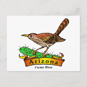 Carte Postale Arizona St Flower Cactus Wren