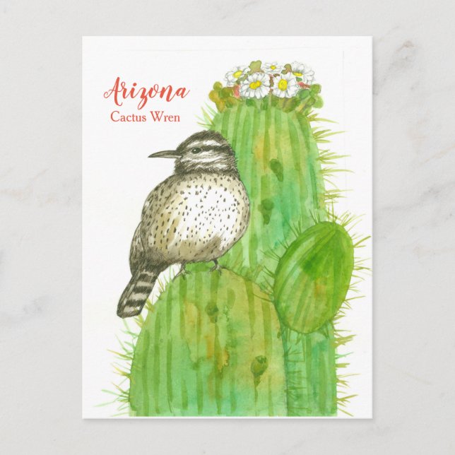 Carte Postale Arizona State Bird Cactus Wren White Blossoms (Devant)