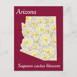 Carte Postale Arizona State Flower Plan de collage