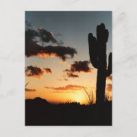 Arizona Sunset Picture