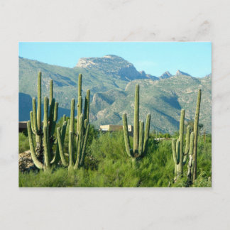 Carte Postale "Arizona verte"